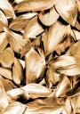 Gold Leaves Plakat Plakat / 100x150cm