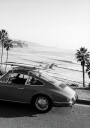 Posh Surfer Plakat Plakat / 21x30cm