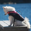 Baltic Flytevest til Hund Mascot 0-3kg Svart/UV-Gul