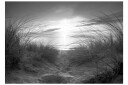 Fototapet Beach Black And White 400x280 - Artgeist sp. z o. o.