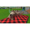 Little Friends: Puppy Island (Switch)