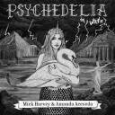 Mick Harvey Amanda Acevedo Psychedelia In White Vinyl
