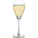Mareld Champagneglass 16 cl 6 pakning