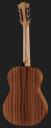 LAG OC703 Occitania 3/4