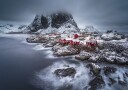 winter Lofoten islands Poster Plakat / 50x70cm
