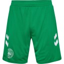 Danmark 24/25 Keepershorts Grønn 2XL