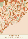 Black Maps Earth Tones 89 Plakat Plakat / 30x40cm
