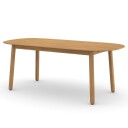 Dedon Mbrace spisebord 90x270 cm AXX teak