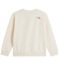The North Face Teen G Chalbi Relaxed Crew   Graphic   Cream   S