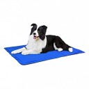 50X90Cm Blå Kjølematte Til Hund Og Katt Large