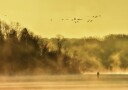Golden Mist Lone Figure Plakat / 40x50
