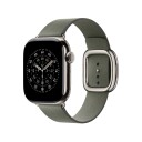 Apple 42/41 mm Sage Grey Modern Buckle   Small
