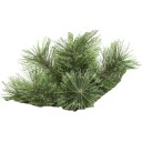 Juletre Star Trading Cembrini