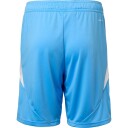Vejle Boldklub 25/26 Keepershorts Blå XL