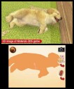 Dogs + Cats: Golden Retriever & New Friends  (3DS)