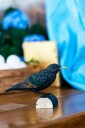 Wildlife Garden DecoBirds Håndskåret Fugl Stær