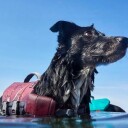 Hurtta Life Savior Eco Flytevest For Hund Lilla (30-40 kg)