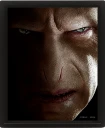 Pyramid International Harry Potter vs Voldemort 3D Innrammet Veggkunst