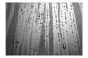 Fototapet Summer Drizzle 150x105 - Finnes i flere størrelser