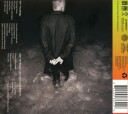 Sting  The Bridge  CD