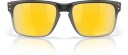 Oakley Holbrook Troy Lee Designs TLD Black Fade m/PRIZM 24K Polarized