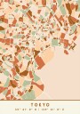 Black Maps Earth Tones 88 Poster Plakat / 100x150cm