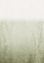 Abstract Texture With Fading Green Plakat Plakat / 40x50cm