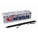 Elektromotor bakluke ACKOJA A52 55 0002