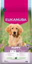 Eukanuba Valpefôr Large Breed Lam og Ris 12 kg - Hundefôr for Valper