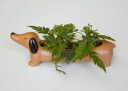 Kikkerland Daisy Dachshund Planter - Kreativ Krukke for Sukulenter og Kaktus
