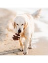 Benebone Fishbone S 12Cm (810054210061)
