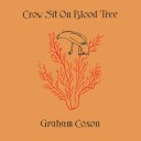 Graham Coxon  Crow Sit On Blood Tree  CD
