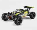 BSD 221R 1/10 GIANT RACER BUGGY BRUSHLESS
