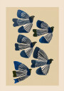 Birds In Flight Plakat Plakat / 100x150cm