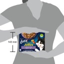 Latz Våtfôr Sensations Mixed Selection I Gelé Våtfôr Til Katt 12X100 G
