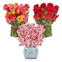 Catsson Pop Up-kort Blomster Kirsebærblomst PK03529