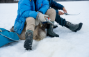 Icebug Torne 2 Men's Biosole GTX   PineGrey