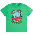 Champion Shorts Sett   T skjorte/Badshorts   Gift Green   Champion   68   Shorts Blå Grønn   62