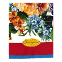 Dolce & Gabbana Dame Accessories Flerfarget ONE SIZE,