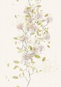 Delicate Vine Dance Plakat Plakat / 30x40cm