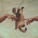 The Creation of Cat Plakat / 40x40