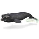 Collecta Right Whale