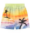 Molo ShortSolar   Airbrush strand   Molo   4 år 104   Shorts