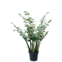 Mr Plant Zamifolia i potte 120 cm
