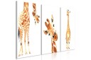 Bilde Funny Giraffes 3 Parts 60x30 Artgeist sp. z o. o.
