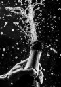 Champagne Celebration Plakat Plakat / 50x70cm