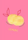 Lemons in Pink Plakat Plakat / 100x150cm