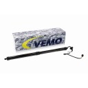 Elektromotor bakluke VEMO V95 55 0004