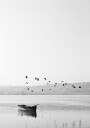 Birds Over Lake Plakat Plakat / 21x30cm