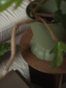 Dbkd Flora krukke Ø25 cm Green
